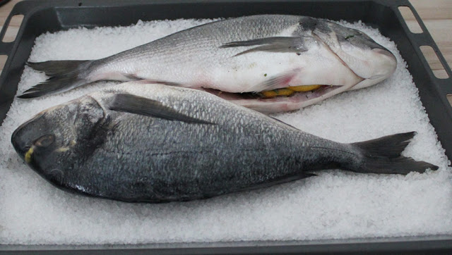the filled sea bream come up coarse sea salt on a baking sheet 
